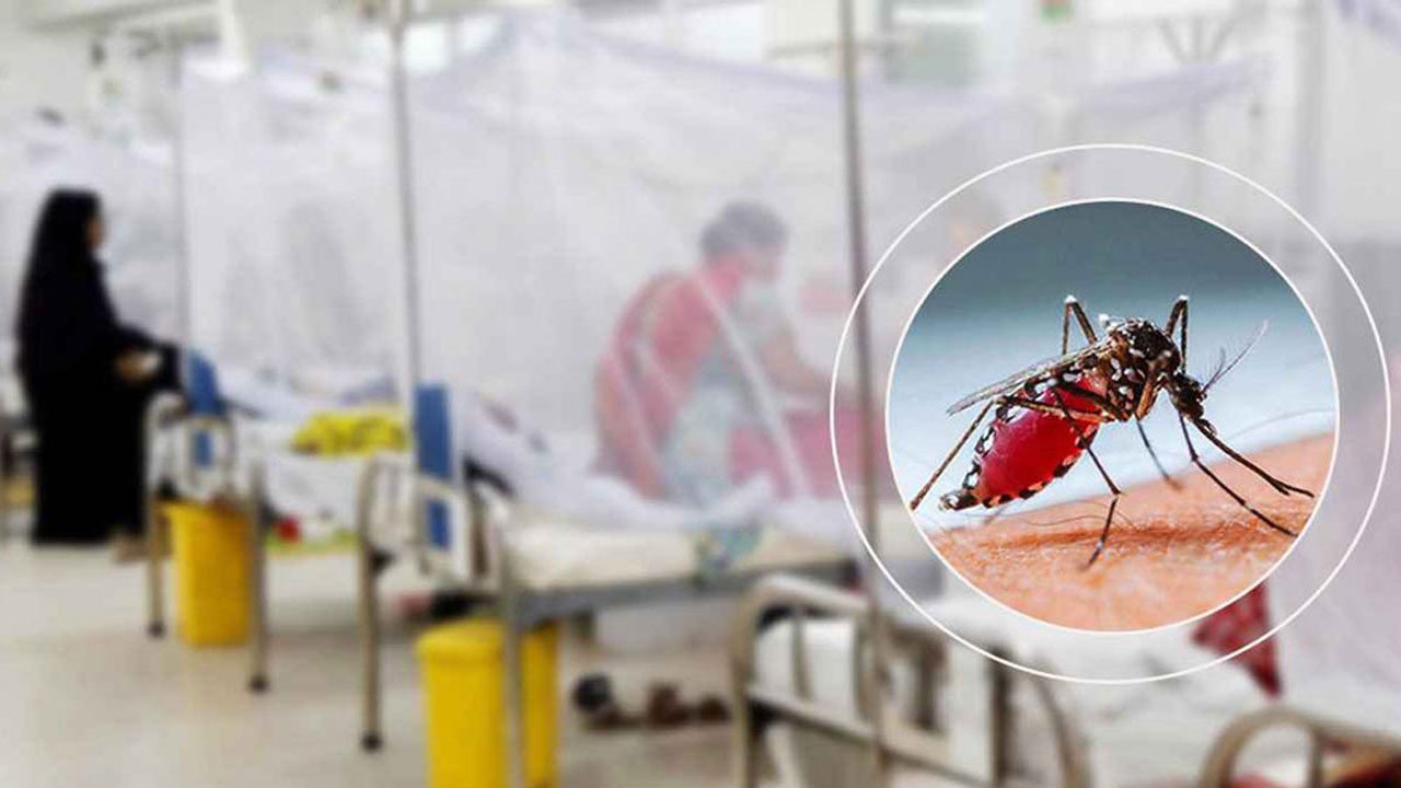 ডেঙ্গুতে আরো ৬ জনের মৃত্যু, হাসপাতালে ভর্তি ১১৯৫